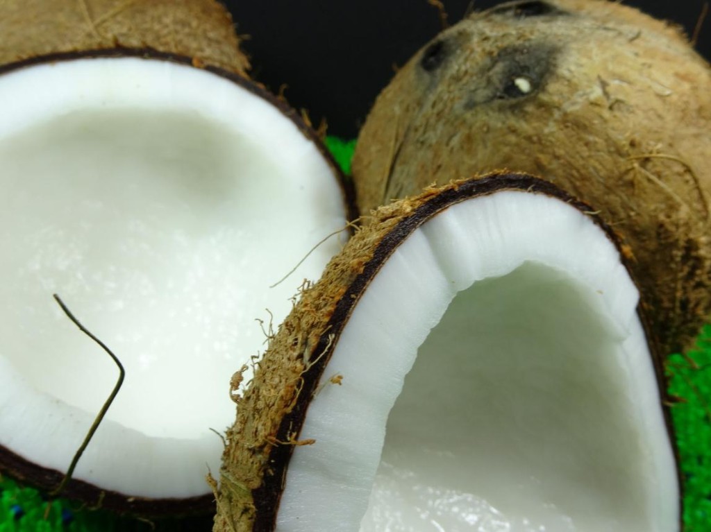 Fresh white coconut karnel inside the shell